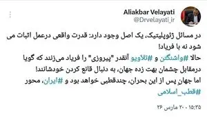 ولایتی: قدرت واقعی در عمل قابل اثبات است نه با فریاد