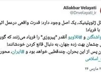 ولایتی: قدرت واقعی در عمل قابل اثبات است نه با فریاد