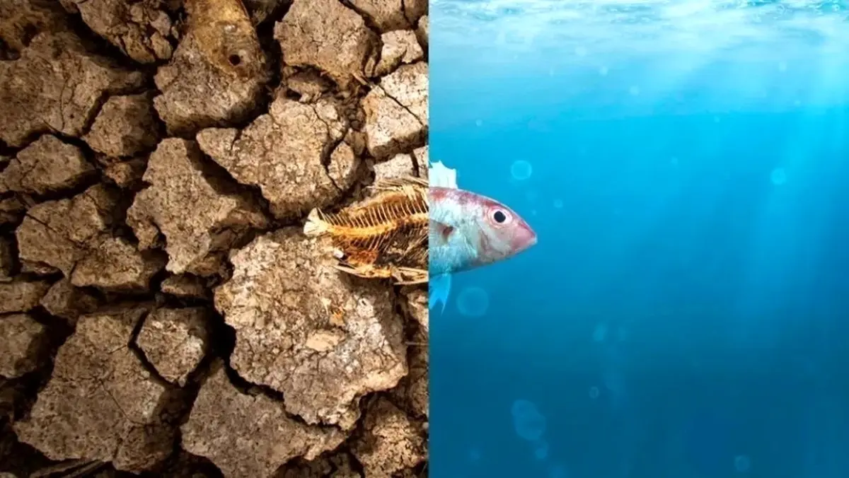 فوری/ تهران در وضعیت اضطراری قرار گرفت