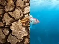 فوری/ تهران در وضعیت اضطراری قرار گرفت
