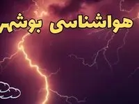 پیش بینی هواشناسی بوشهر طی ۲۴ ساعت آینده | اخبار پیش بینی وضعیت آب و هوا بوشهر فردا یکشنبه ۵ اسفند ماه ۱۴۰۳ 