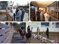 بازدید سرپرست سازمان منطقه آزاد انزلی از باشگاه سوارکاری تک‌تاز