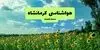 هواشناسی کرمانشاه امروز شنبه ۱۲ مهر