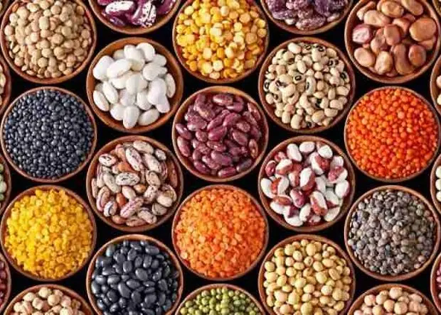 جدول قیمت انواع حبوبات ۲۰ مرداد 