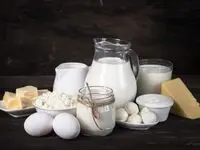 تداوم صادرات مازاد لبنیات و تخم مرغ با وجود شرایط جنگ تحمیلی در کشور
