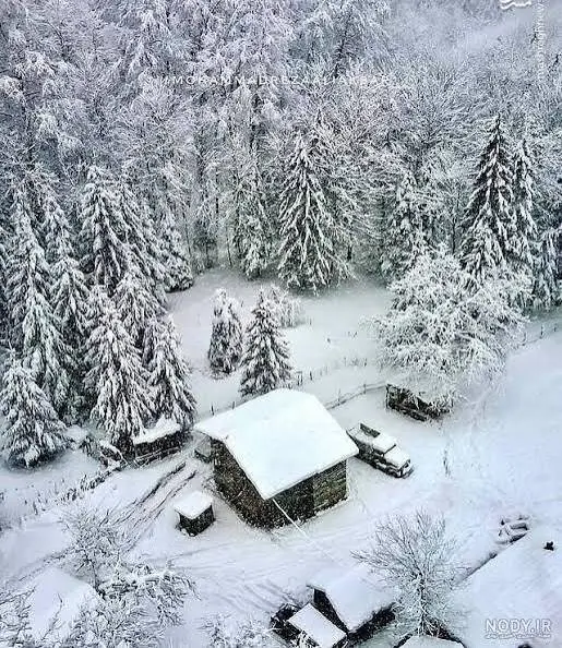 هشدار درباره زمستان سخت در شمال؛ احتمال قطعی ۹۰ روزه گاز در ۳ استان