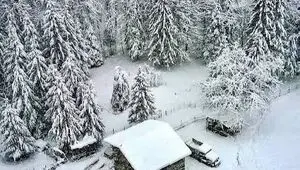 هشدار درباره زمستان سخت در شمال؛ احتمال قطعی ۹۰ روزه گاز در ۳ استان