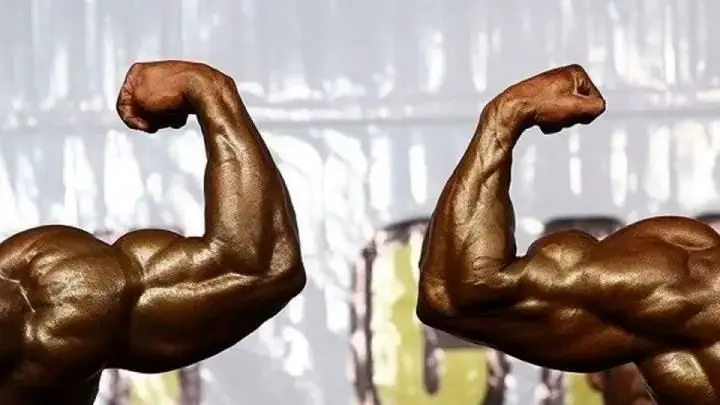 ورزشکاران ایرانی در مستر المپیا ۲۰۲۵ چقدر هزینه می‌کنند؟