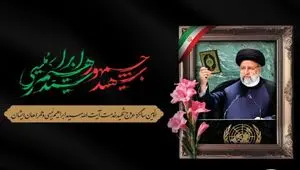 خادم‌الرضا بود، شهید خدمت شد