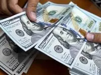 سقوط قیمت دلار در بازار داخلی تنها به این شرط!