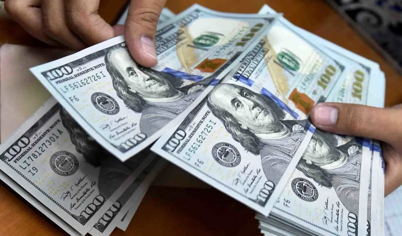 سقوط قیمت دلار در بازار داخلی تنها به این شرط!