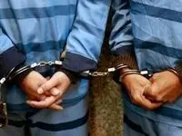 چند نفر از عوامل عملیاتی سلطنت طلب و گروهک نفاق امروز ۳ فروردین 4دستگیر شدند؟ 