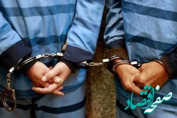 چند نفر از عوامل عملیاتی سلطنت طلب و گروهک نفاق امروز ۳ فروردین 4دستگیر شدند؟ 
