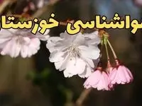 پیش بینی وضعیت آب و هوا خوزستان فردا یکشنبه ۲ شهریور ماه ۱۴۰۴ + هواشناسی خوزستان ۲۴ ساعت آینده