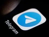 فیلم لحظه بازداشت پاول دوروف مالک تلگرام