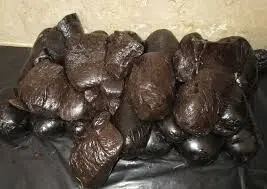 فیلم | ویدئویی عجیب از کاشت تریاک توسط طالبان در مرز ایران!
