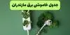زمان قطعی برق مازندران فردا یکشنبه ۱۵ شهریور اعلام شد + لینک