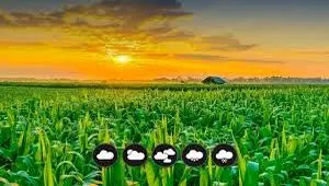 خوش خبری برای سرمایه‌گذاران بخش کشاورزی | ۱۴ دستور اجرایی برای حمایت از سرمایه‌گذاری صادر شد
