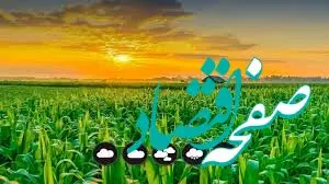 معاون وزارت جهاد اعلام کرد: در بیشتر کالا‌های کشاورزی مازاد تولید داریم