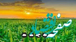 معاون وزارت جهاد اعلام کرد: در بیشتر کالا‌های کشاورزی مازاد تولید داریم