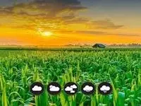 توصیه‌های هواشناسی کشاورزی برای مقابله با وضعیت جوی ناپایدار