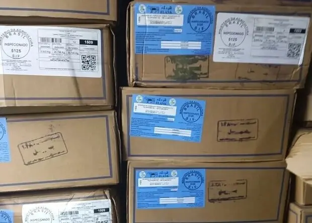 جوابیه رسمی انجمن گوشت به ابهام‌ها درباره واردات از برزیل