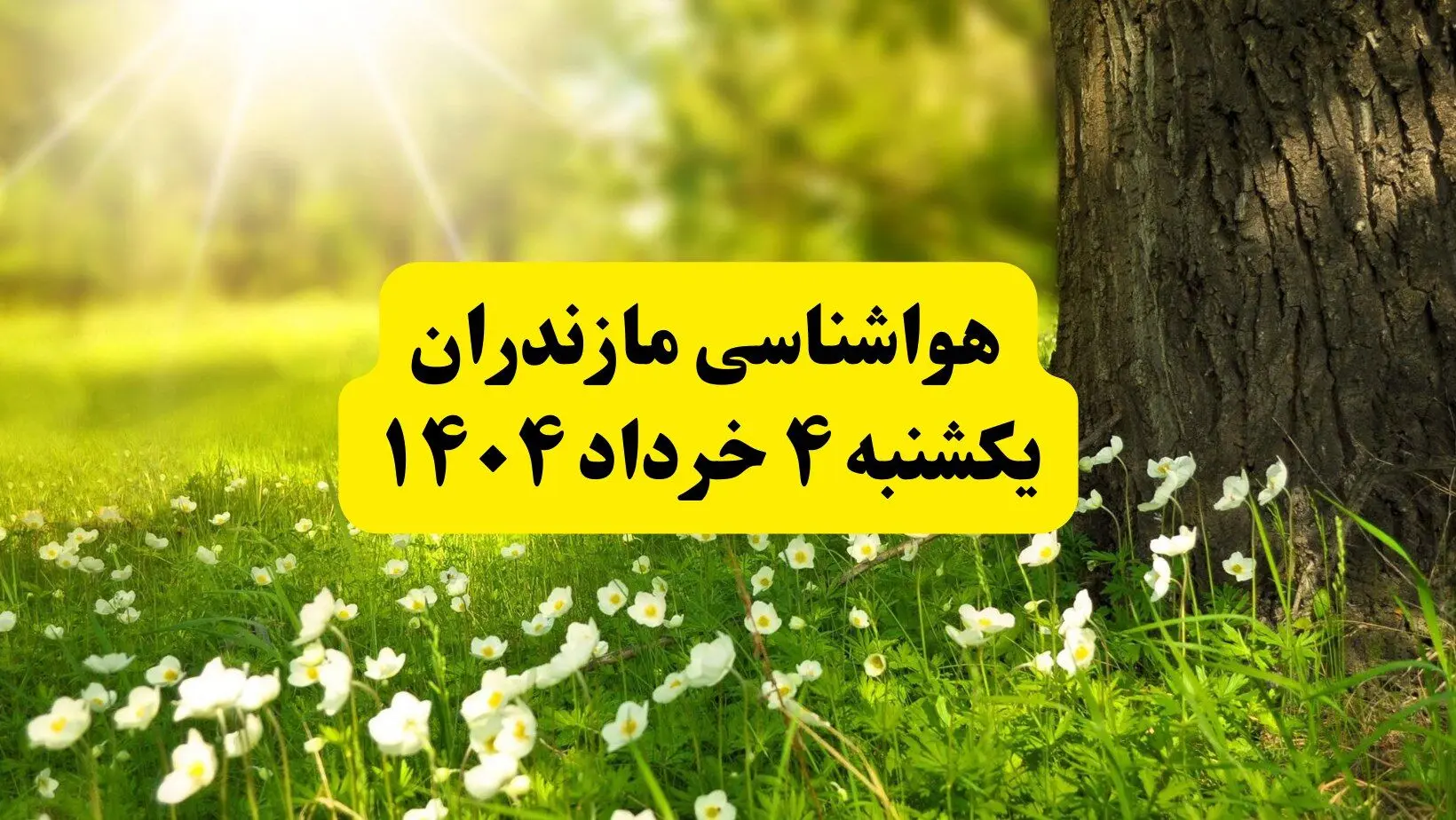 هواشناسی مازندران فردا یکشنبه ۴ خرداد ۱۴۰۴ | وضعیت آب و هوای ساری یکشنبه چهارم خرداد ۱۴۰۴ | آخرین خبر هواشناسی استان مازندران