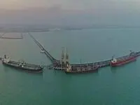 نقش کلیدی منطقه ویژه اقتصادی خلیج‌فارس در اتصال ایران به زنجیره ارزش جهانی