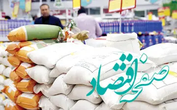 کاهش تولید برنج طارم افزایش قیمت به همراه دارد 