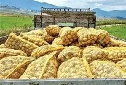 صادرات سیب زمینی تا آخر سال ممنوع شد