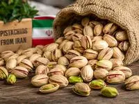 توقف صادرات پسته خام ایران به ترکیه تا تعیین تکلیف الزامات قرنطینه‌ای