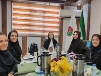 برگزاری جلسه مدیران ستادی شرکت بیمه حافظ با مدیران سازمان راهداری و حمل و نقل جاده ای استان سیستان و بلوچستان