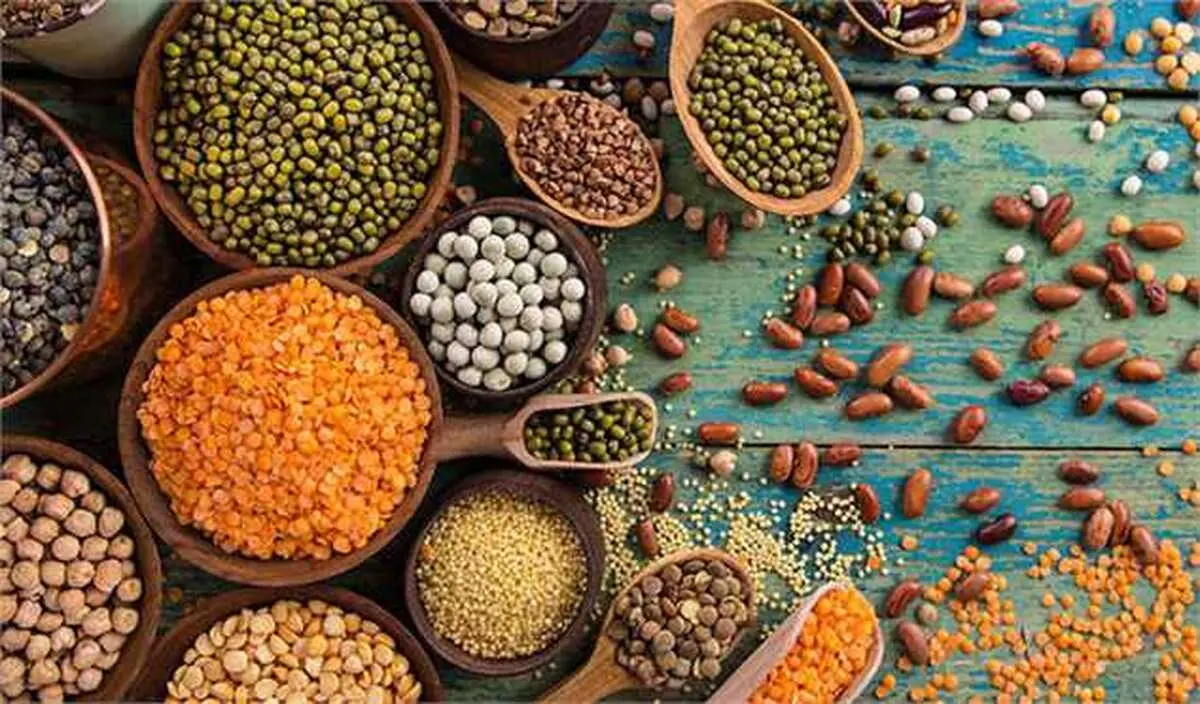 افزایش چشمگیر قیمت حبوبات؛ نگرانی تازه برای سفره‌های ایرانی! + جدول کامل قیمت ها | قیمت حبوبات امروز ۲ خرداد ۱۴۰۴