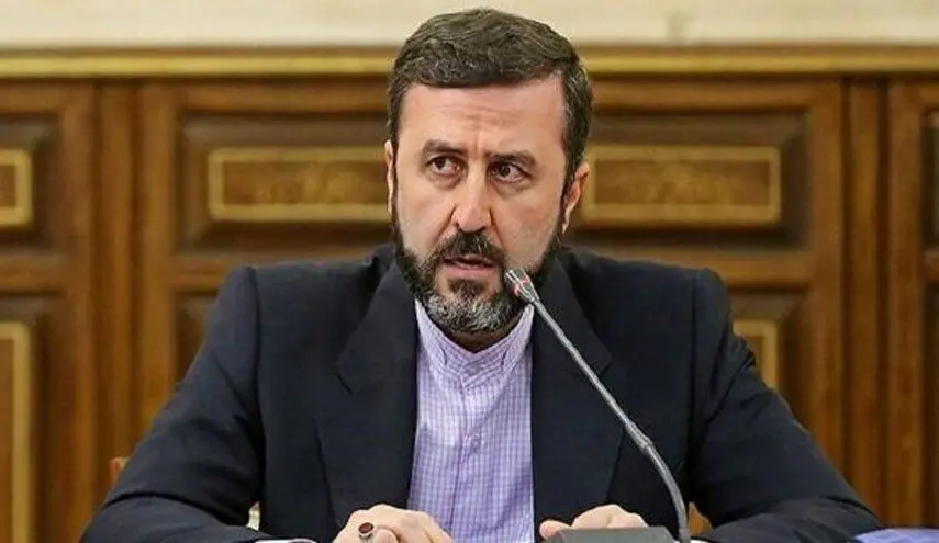 گزارش غریب‌ آبادی از جزئیات قطعنامه نشست سازمان همکاری اسلامی درباره غزه