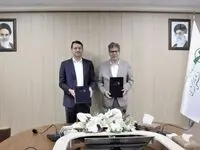 بسته‌های سفر ویژه با تخفیف‌ها و خدمات اختصاصی برای بازنشستگان
