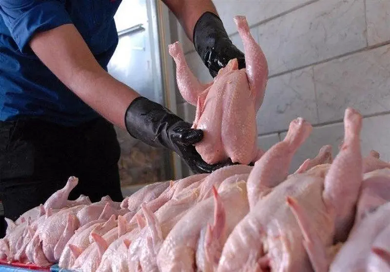اثر شوک‌های اقتصادی در زنجیره مرغ تا چه زمانی باقی می‌ماند؟