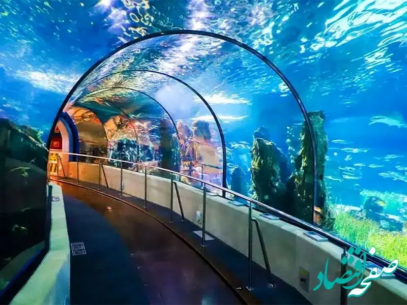 خودروهای شخصی با این دو شرط می توانند وارد کیش شوند