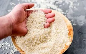 قیمت برنج هندی سقوط کرد | علت چیست؟ 