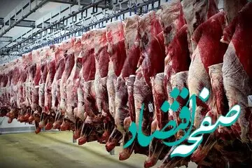 قیمت دام زنده امروز پنجشنبه ۲۸ دی ماه ۱۴۰۲ + قیمت گوشت گرم