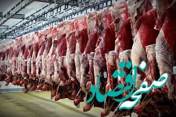 قیمت دام زنده امروز پنجشنبه ۲۸ دی ماه ۱۴۰۲ + قیمت گوشت گرم