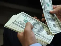 اعتراض مجلسی‌ها به عرضه 10 هزار دلار در بانک