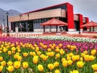 کسب رتبه دوم سازمان منطقه آزاد ماکو در اجرای برنامه های دهه امامت و ولایت، (عید قربان تا عید غدیر )در بین مناطق آزاد کشور