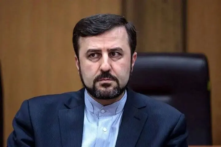 واکنش غریب آبادی به جوسازی گروسی درباره برنامه بازدید هسته ای 