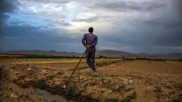 سفره‌هایی که به مذاکرات گره خورده‌اند / آیا توافق خارجی می‌تواند ضعف‌های ساختاری جهاد کشاورزی را پنهان کند؟