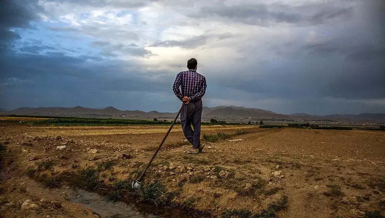 سفره‌هایی که به مذاکرات گره خورده‌اند / آیا توافق خارجی می‌تواند ضعف‌های ساختاری جهاد کشاورزی را پنهان کند؟