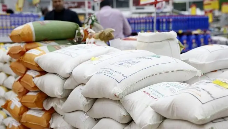 اگر این اتفاق رخ ندهد قیمت برنج گران می شود + ویدئو