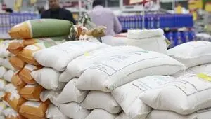 خبر مهم برای خریداران برنج؛ سرنوشت ۱۳۰ هزار تن برنج وارداتی چه می‌شود؟