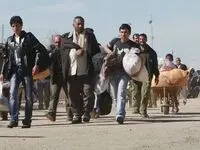 از آمار تکان دهنده تعداد مهاجران افغان در ایران تا نگرانی مردم از اتباع غیرمجاز