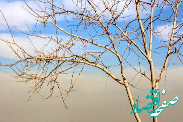 آلودگی هوا در شهرهای بزرگ ادامه دارد