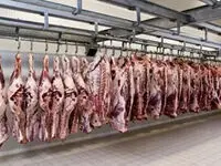 عرضه گوشت قرمز  در تیر ماه به ۳۷٬۳۱۲ تن رسید